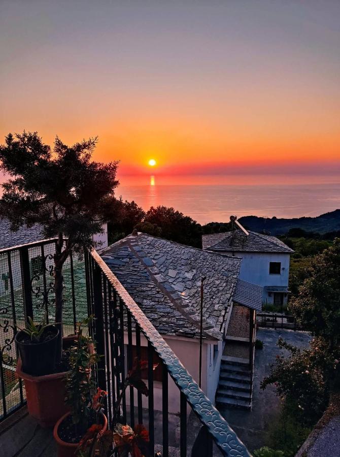 Guesthouse Papagiannopoulou Zagora Esterno foto