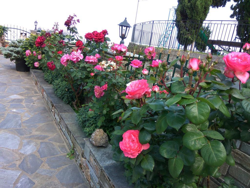 Guesthouse Papagiannopoulou Zagora Esterno foto